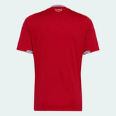 Jersey Wales 2026 Home World Cup